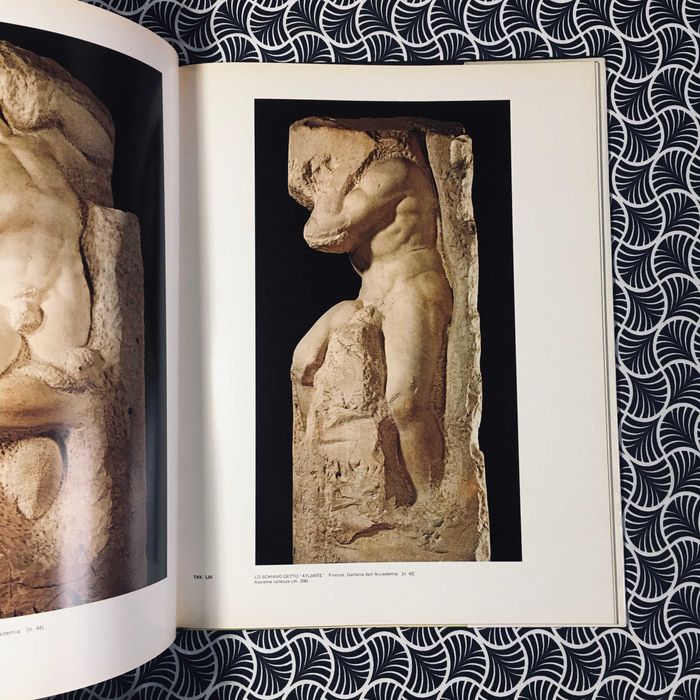 L'Opera Completa di Michelangelo Scultore