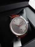 Alpina Alpiner Automatic AL-525VG4E6