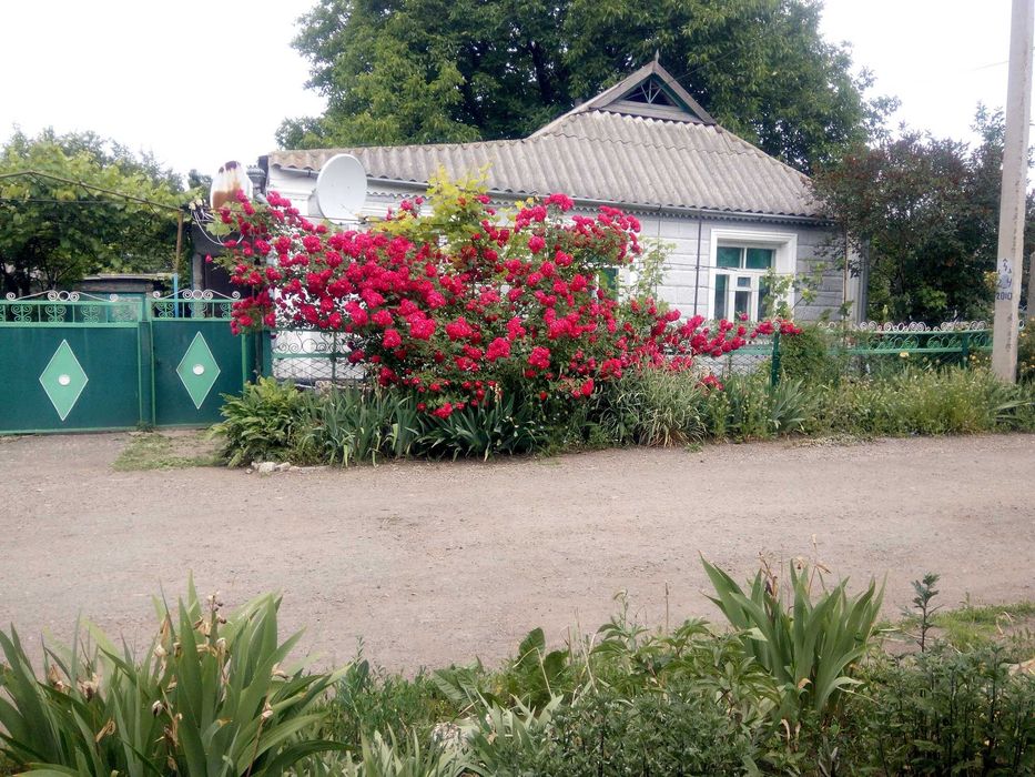 Житловий будинок