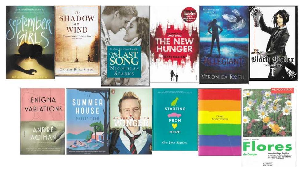 Livros Diversos - Maior parte em Inglês