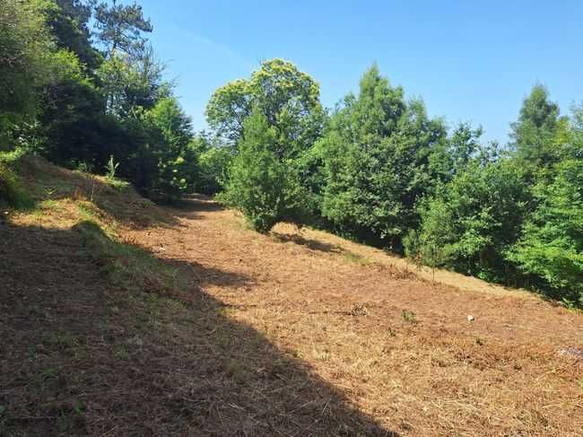 Terreno construtivo