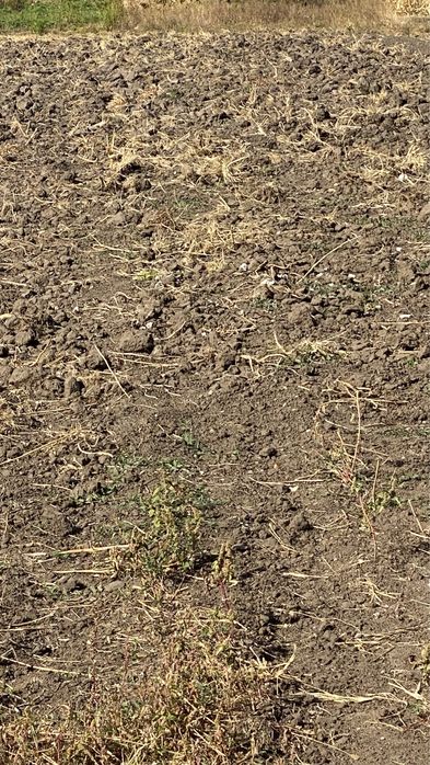 с. Витачів 25 сот. м. Київ  40 км