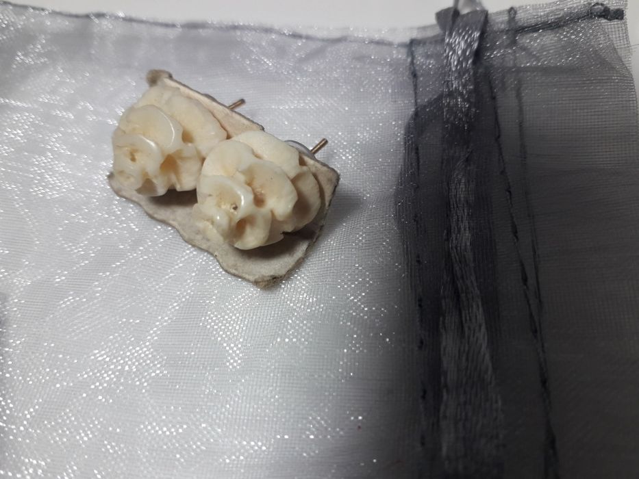 Brincos Novos (Ver anuncio)