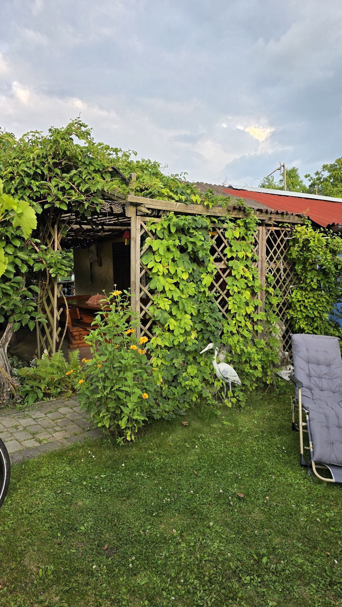 Zadbana działka ROD Webera Domek 35m² + mini kiwi + ogrzewanie