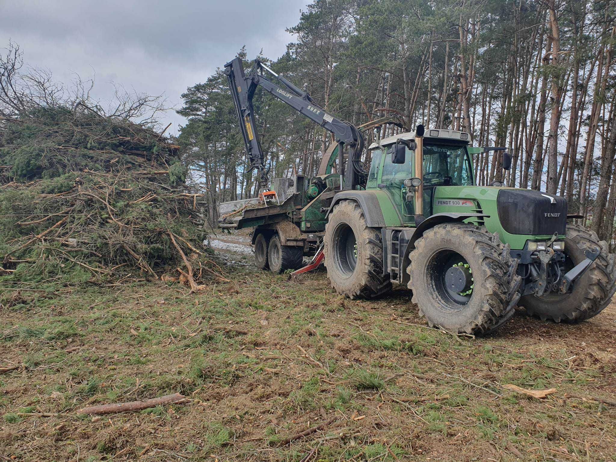 Usługi Leśne , wycinka drzew, lasów , usługi rębakiem, zakup drewna,