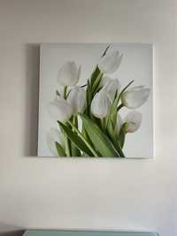 Obraz na płótnie Białe tulipany rozm 80/80