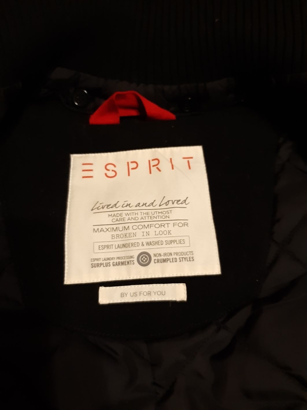Чоловіче пальто Esprit