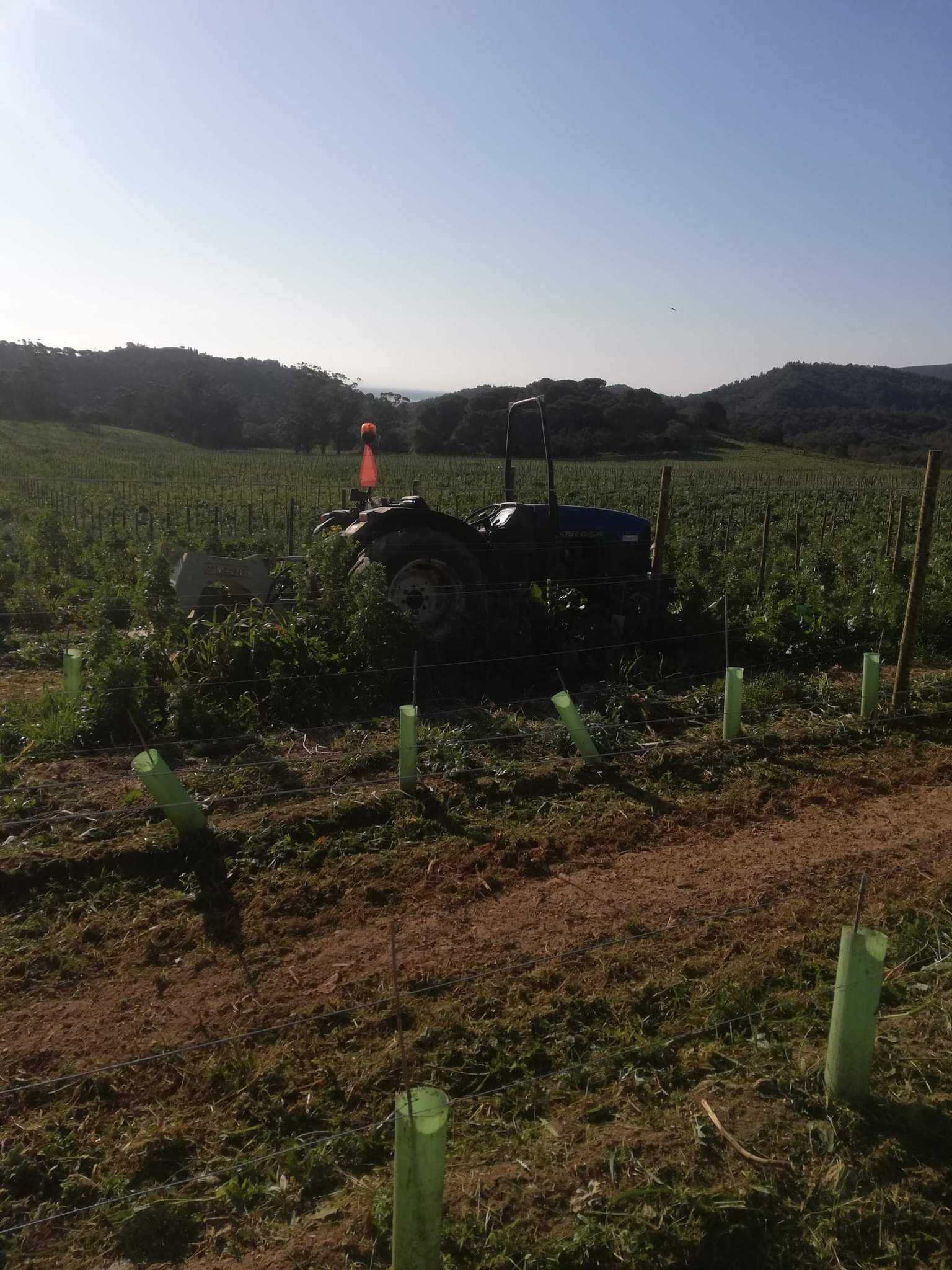 Serviços agricolas/ limpeza de terrenos