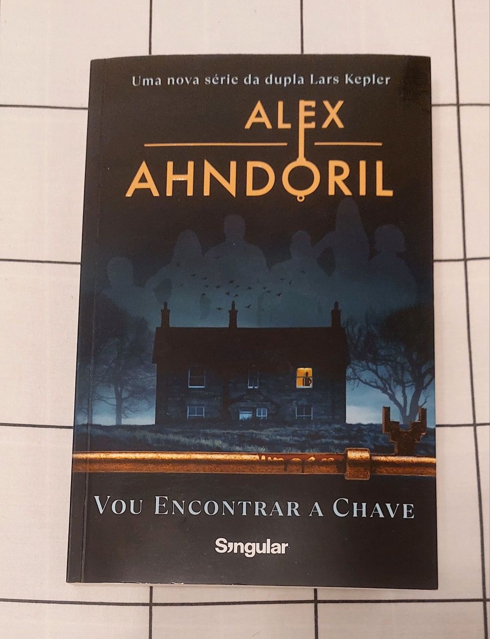 Portes grátis.   ( Oferta 25% - 2° livro)