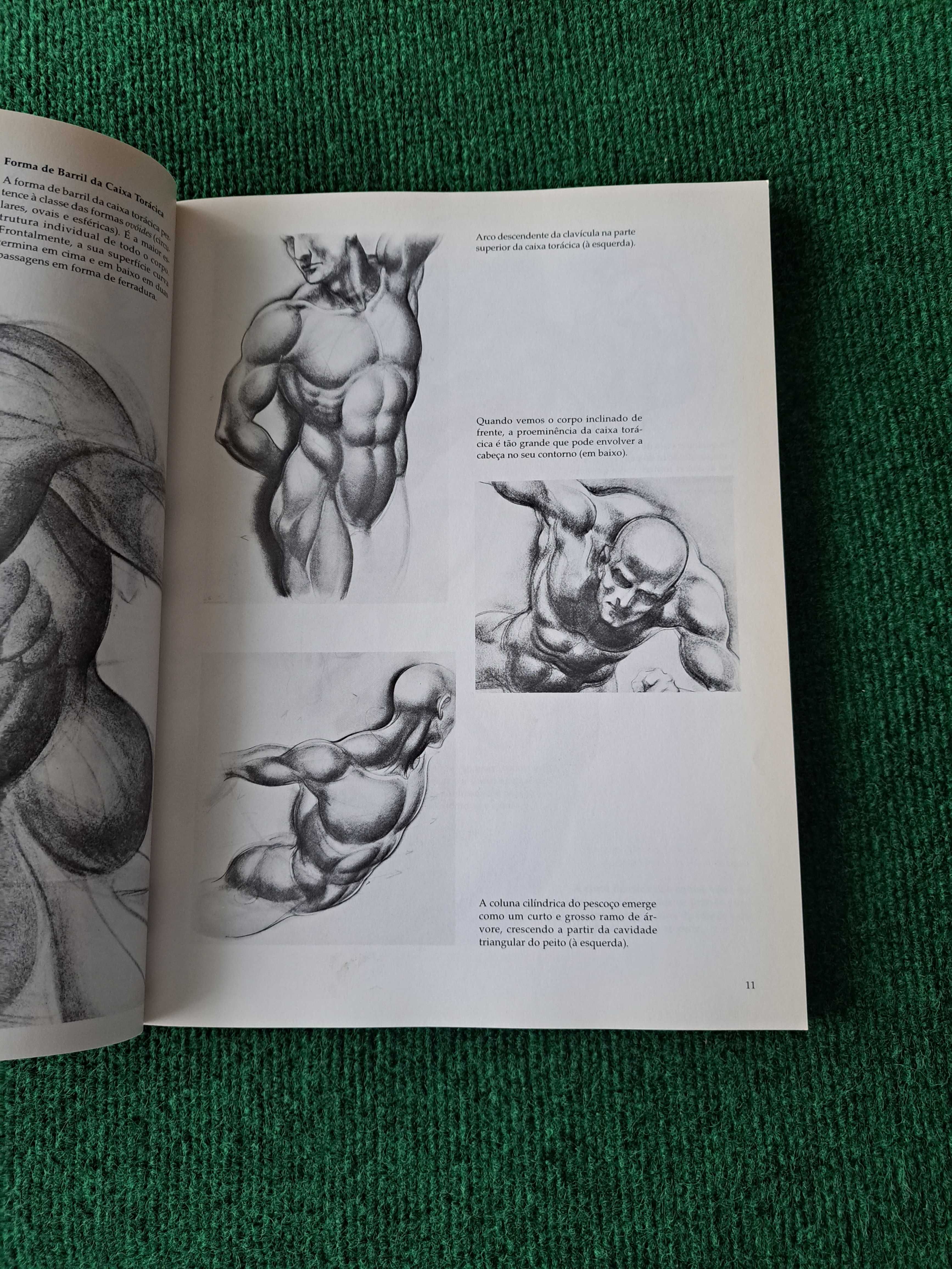 O Desenho da Figura Humana sem Dificuldade  Burne Hogarth