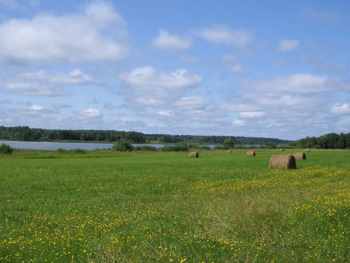 Земельна ділянка під Києвом, 15 соток. с. Вишеньки, Бориспільський р-н