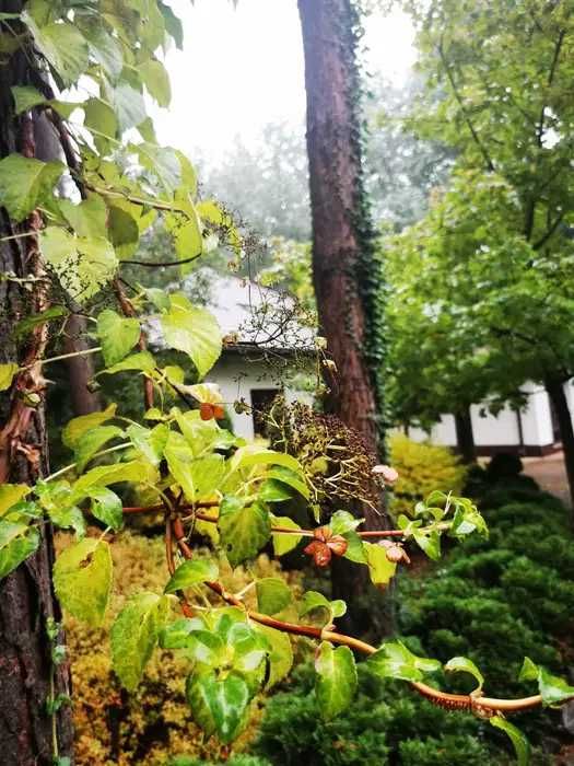 Chillout Loft dom Noclegi Łodzią Warszawą LAS Panieński Sauna Jacuzzi