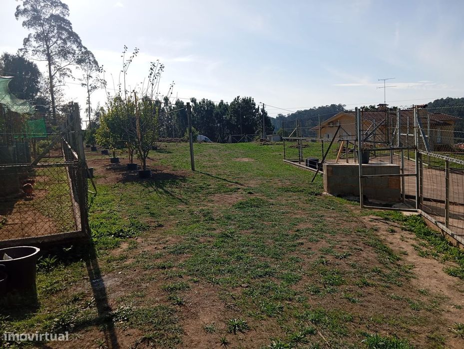 Terreno dos Sonhos
