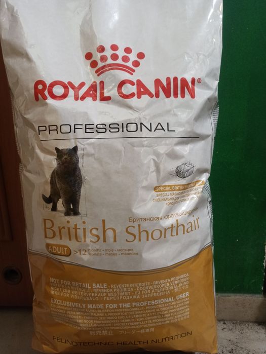 Royal 13кг Canin British Shorthair Adult - сухий корм для котів пород