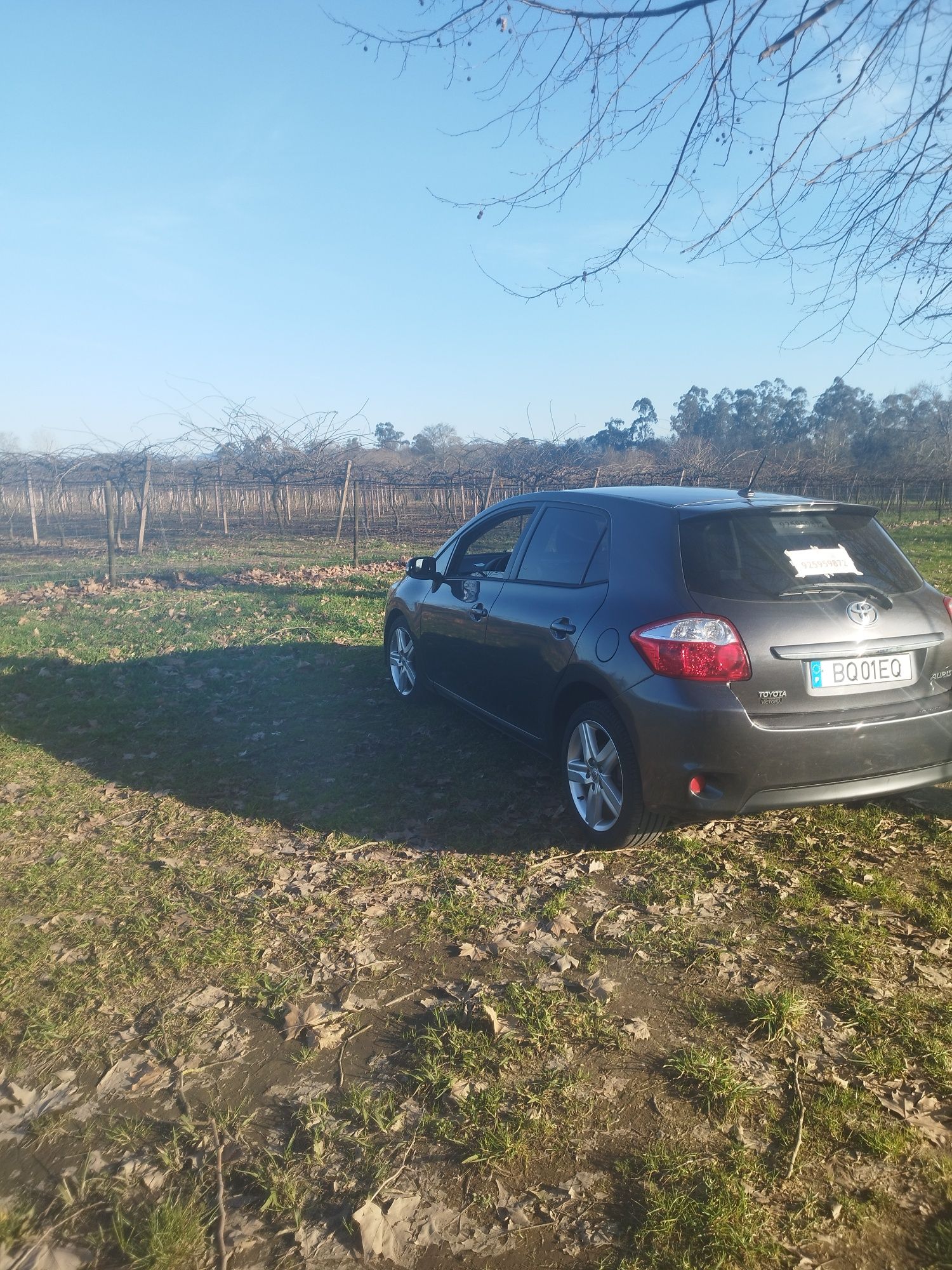 Toyota Auris d4d