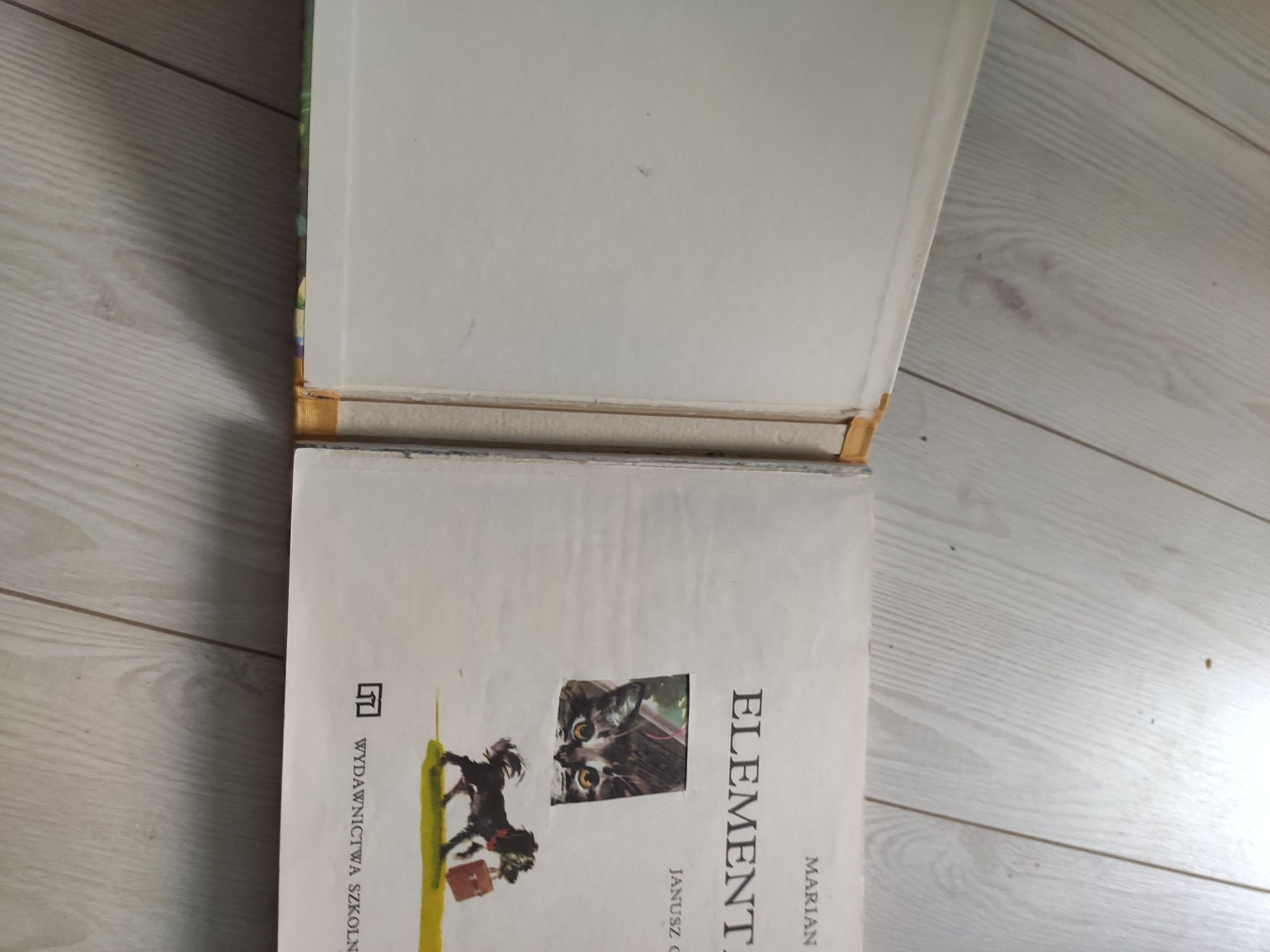 Elementarz Falski, Litery Przyłubscy,