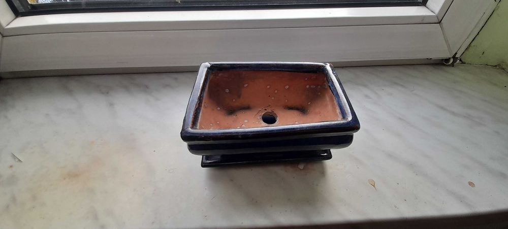 Doniczka do bonsai