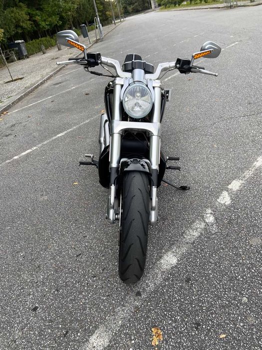 Harley Davidson V Musclue