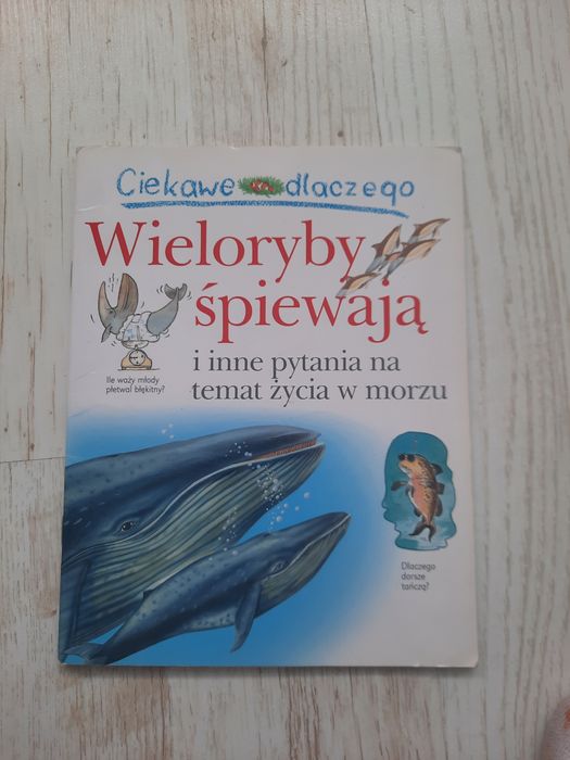 Książka wieloryby śpiewają i inne pytania na temat życia w morzu