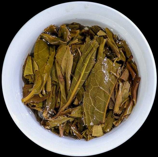 TEA Planet - Herbata PuErh Sheng prosto z Chin - dysk 100 g. z 2016 r.