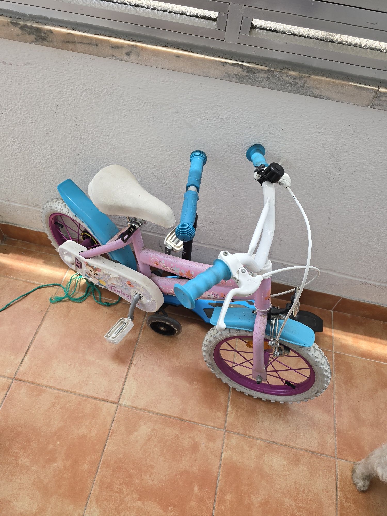 Bicicleta crianca