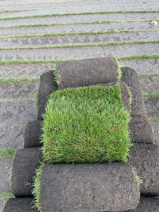 Trawa trawnik z Rolki transport montaż wysyłki kurier