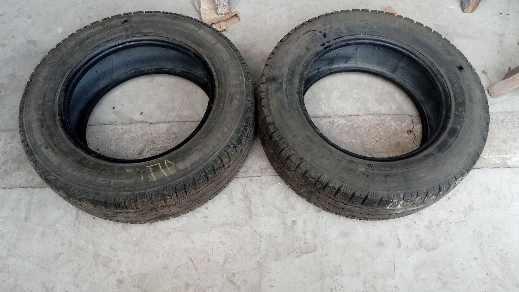 Зимова гума Michelin Agilis Alpin 215 65 R16C 2 шт.