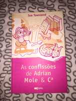 As confissões de Adrian Mole - Sue T.