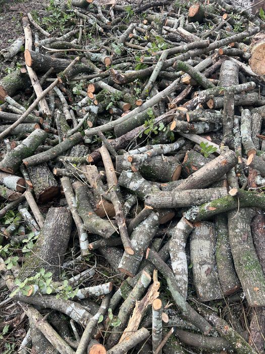 Lenha seca mistura ( oliveira, carvalho)