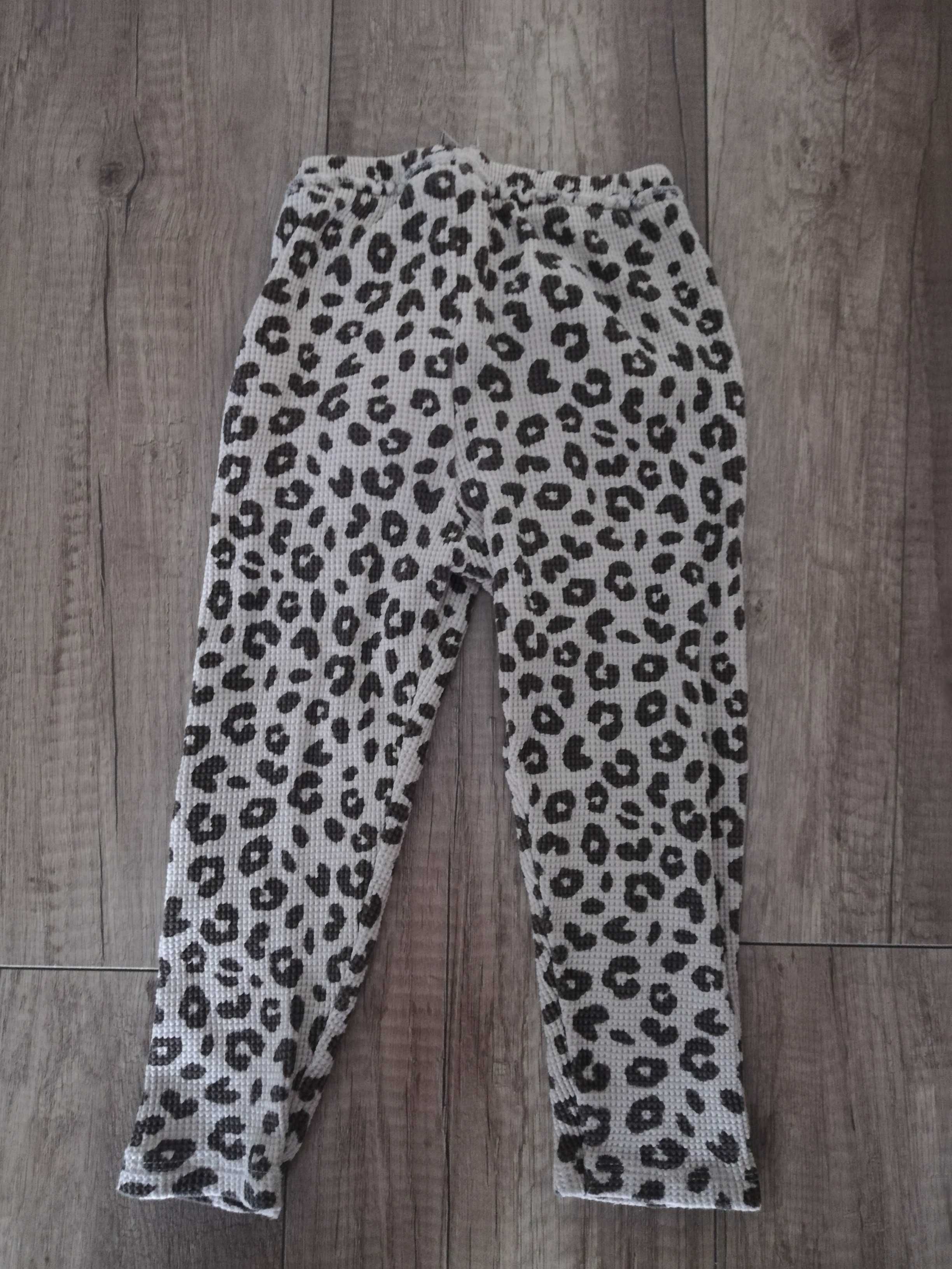 Legginsy firmy Zara w rozmiarze 98cm