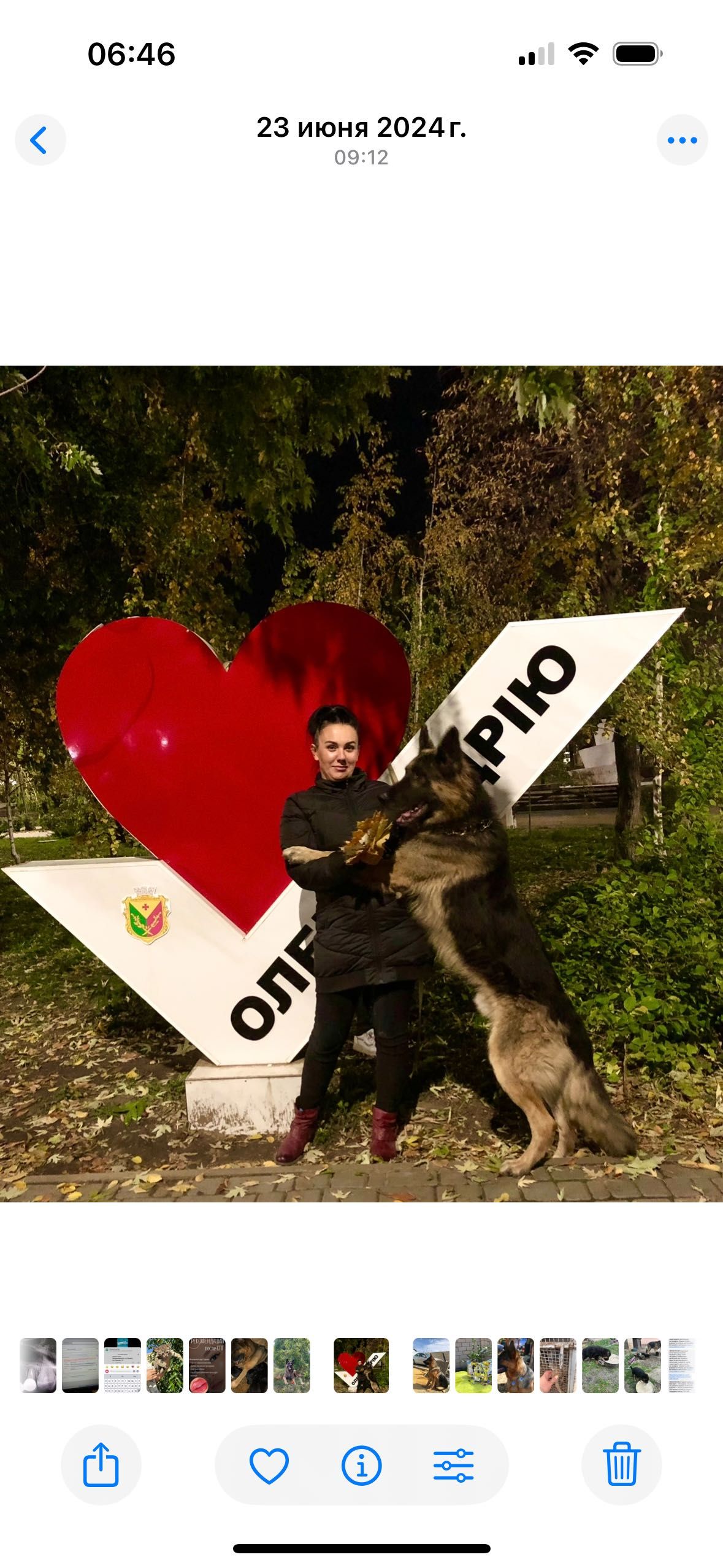 Щенки немецкой овчарки