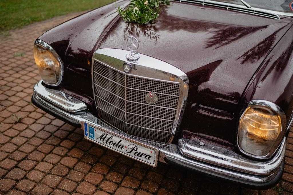 Samochód auto do ślubu Mercedes W108