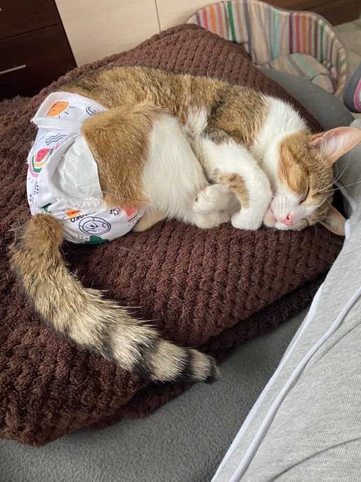 Особлива Дануся надіється на дім