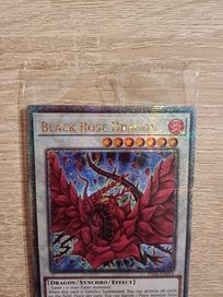 Karta YU GI OH Black Rose Dragon