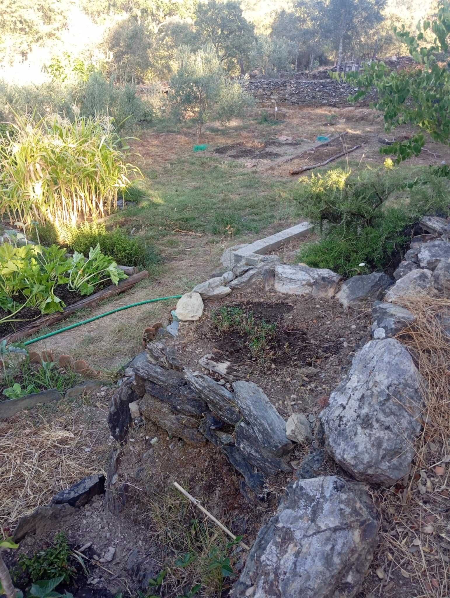 Vendo quintinha com muitas arvores e muita água perto Castelo Branco