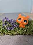 Littlest pet shop lps miś niedźwiedź bear hasbro box saszetka