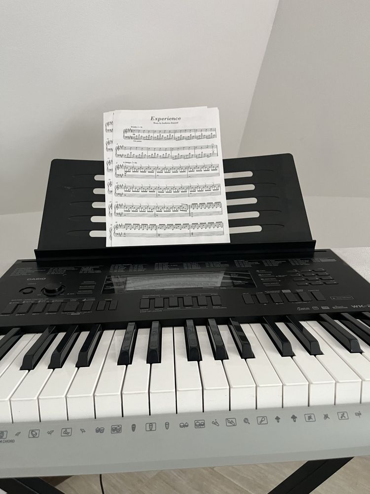 Синтезатор casio WK-220