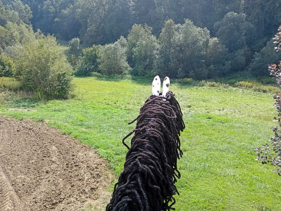 Hobby horse A3 zajęty