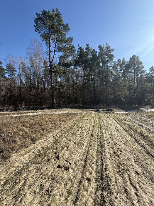 Земельна ділянка в Козлині, біля кінного клубу