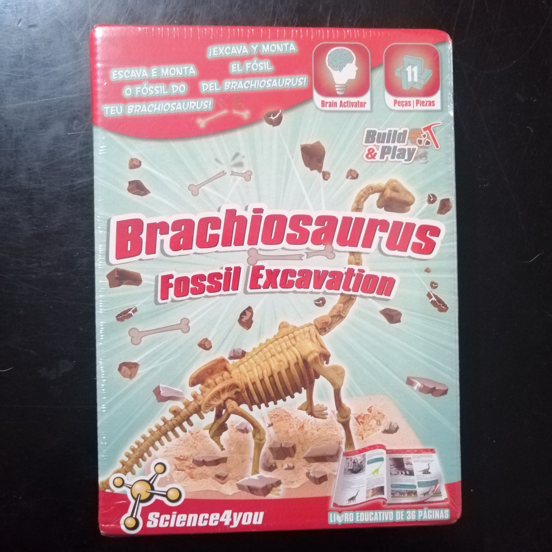 Esqueleto Dinossauro Science4You