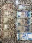 Conjunto de Notas de escudo de coleção