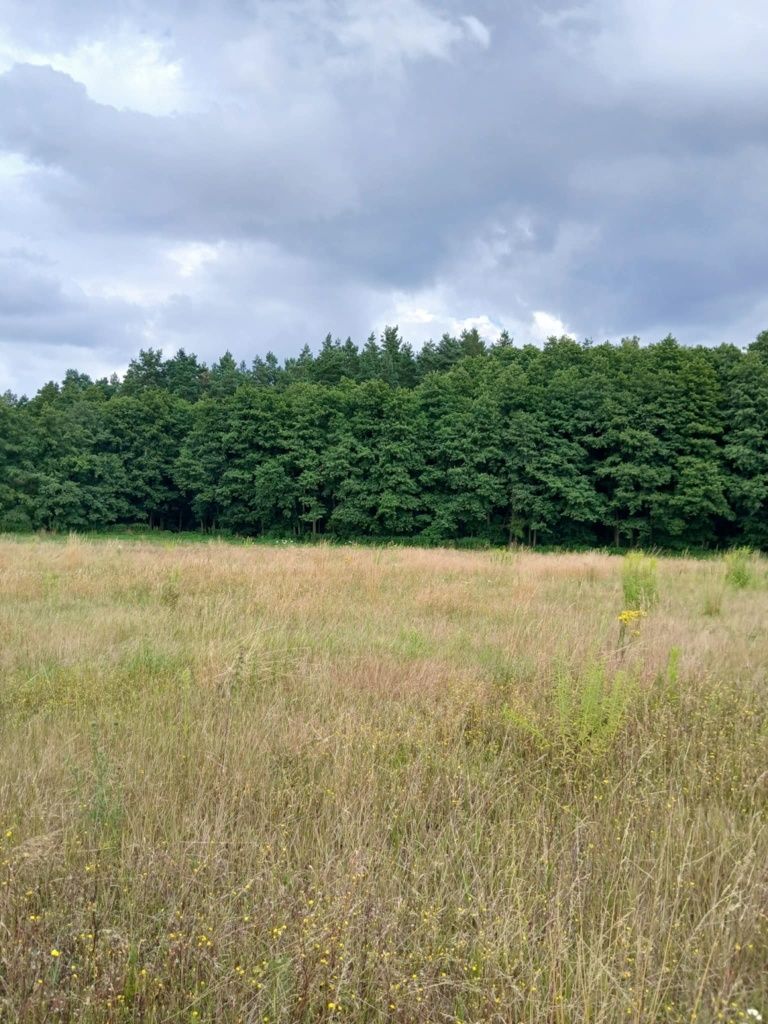 Sprzedam działki budowlane