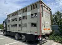 Перевозка животных Скотовоз