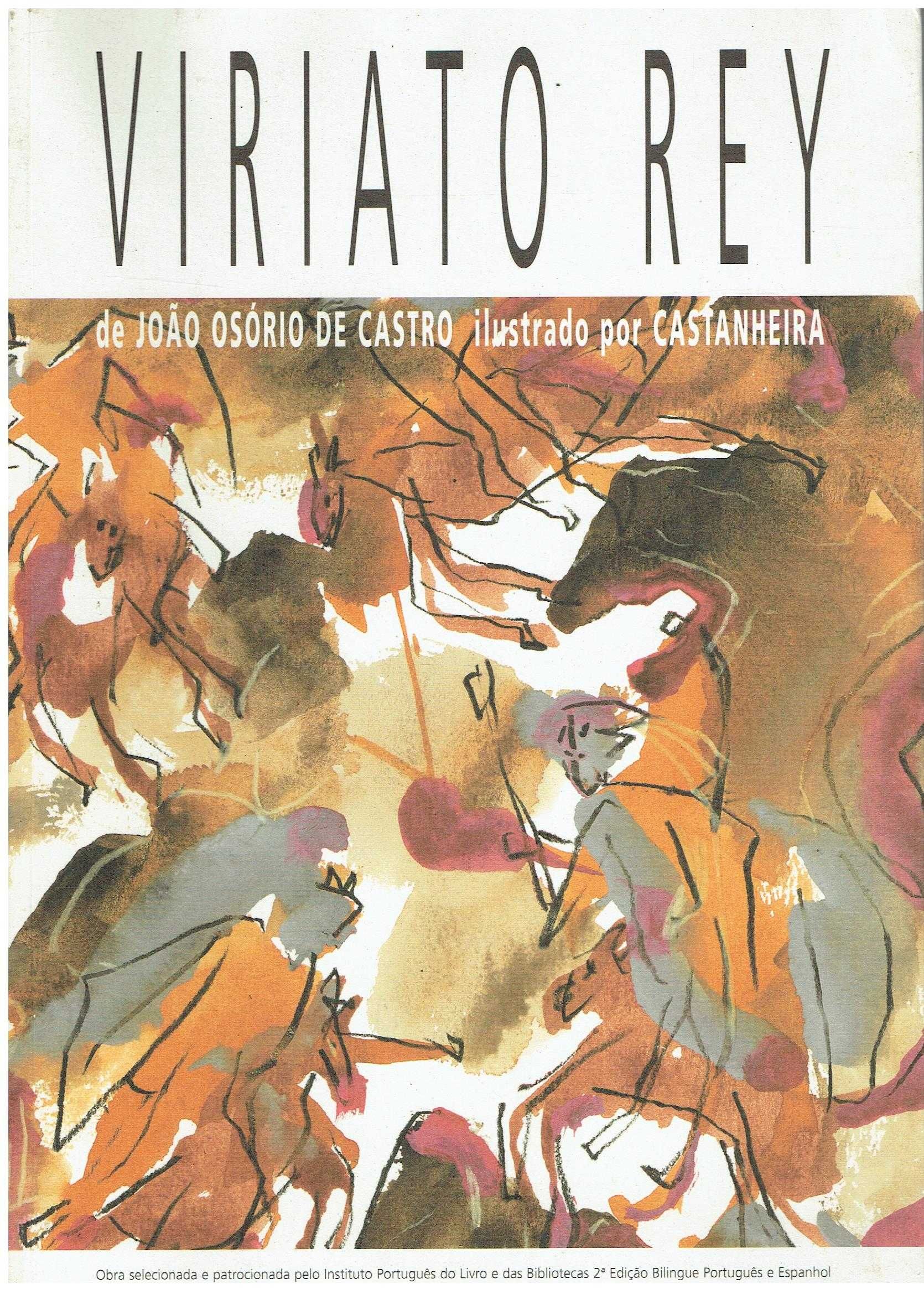13232

Viriato Rey"
de João Osório de Castro