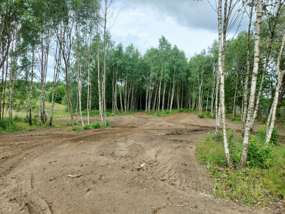 Mulczowanie Karczowanie Działek Mulczerem Leśnym wycinka drzew
