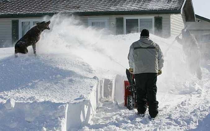 Odśnieżanie Podwórek Posesji Chodników Parkingów Dachów Sypanie Solą