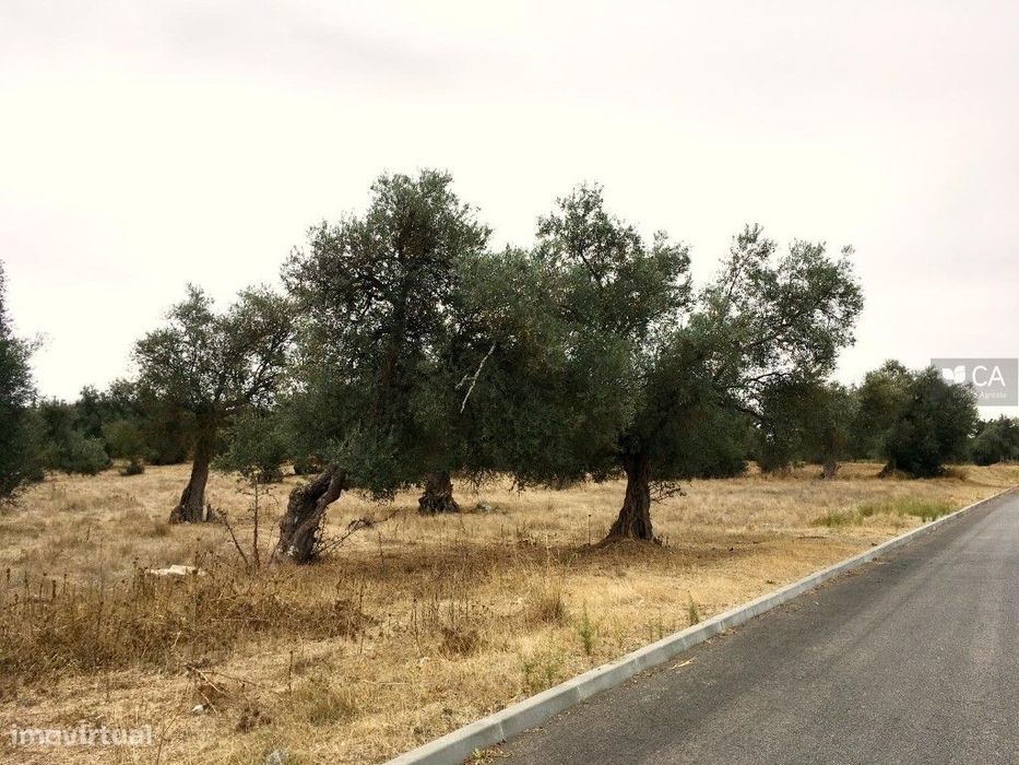 Terreno com 8.750m², com PIP aprovado para realização de loteamento...