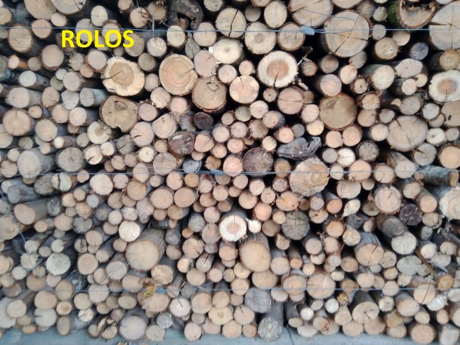 Lenha seca e rachada no Verão