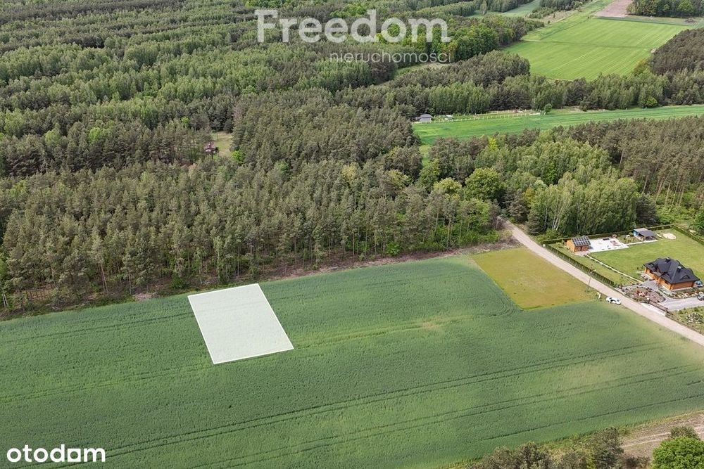 Działka z WZ na skraju lasu, blisko autostrady A2