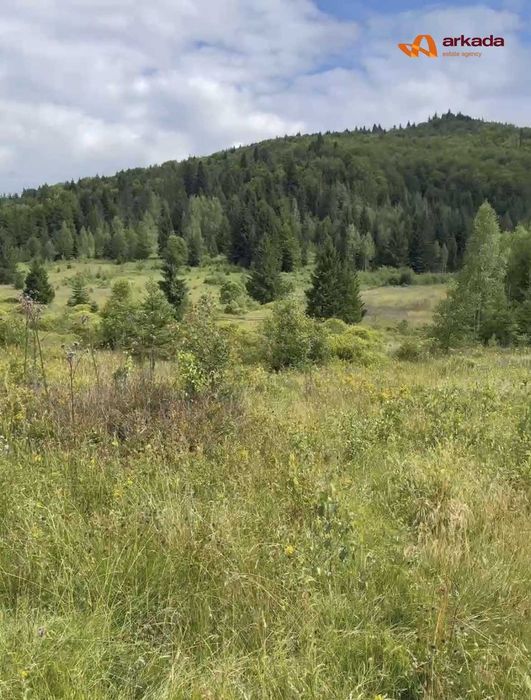 Продається земельна ділянка в с. Стара Гута